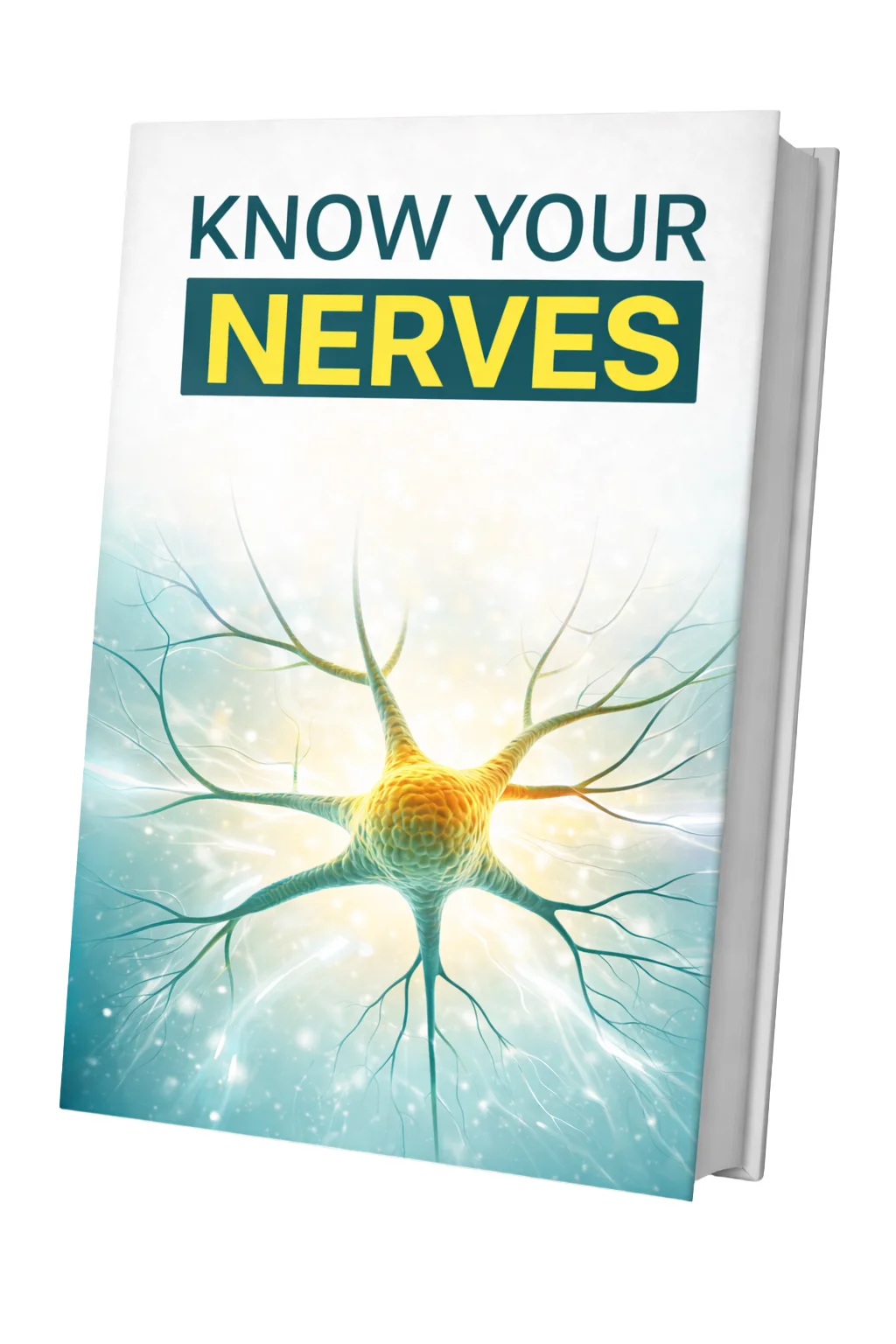 Know Your Nerves